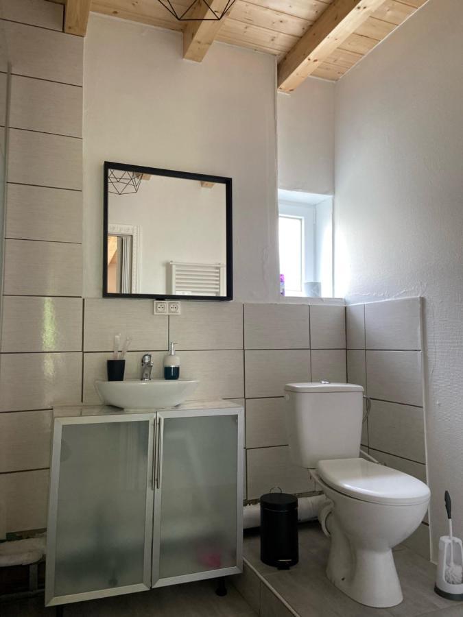 Le Chene: Petit Chalet Cosy Proche De Mulhouse Riedisheim Екстер'єр фото